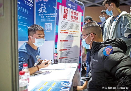 應屆生求職困境中的職業中介 機遇、風險與策略